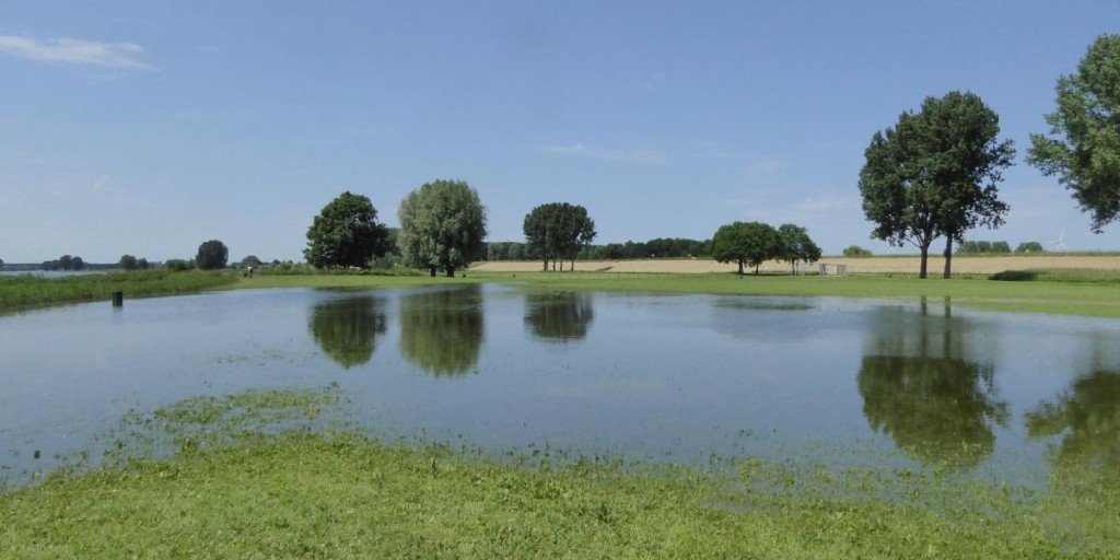 Eiland van Schalkwijk