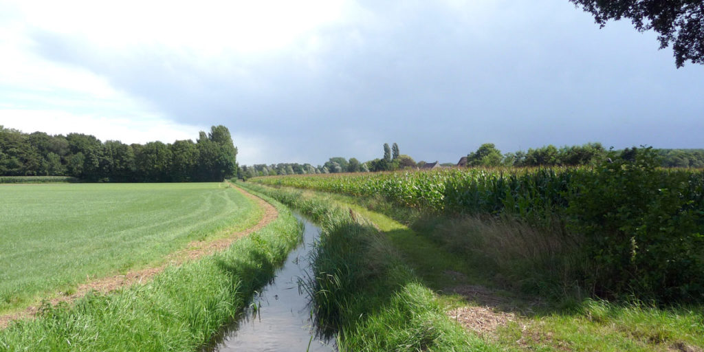 Omgevingsplan Landelijk Gebied, Zutphen