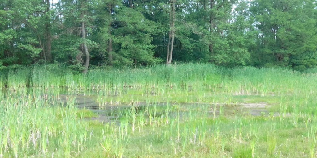 Provinciale inpassingsplannen, Gelderland